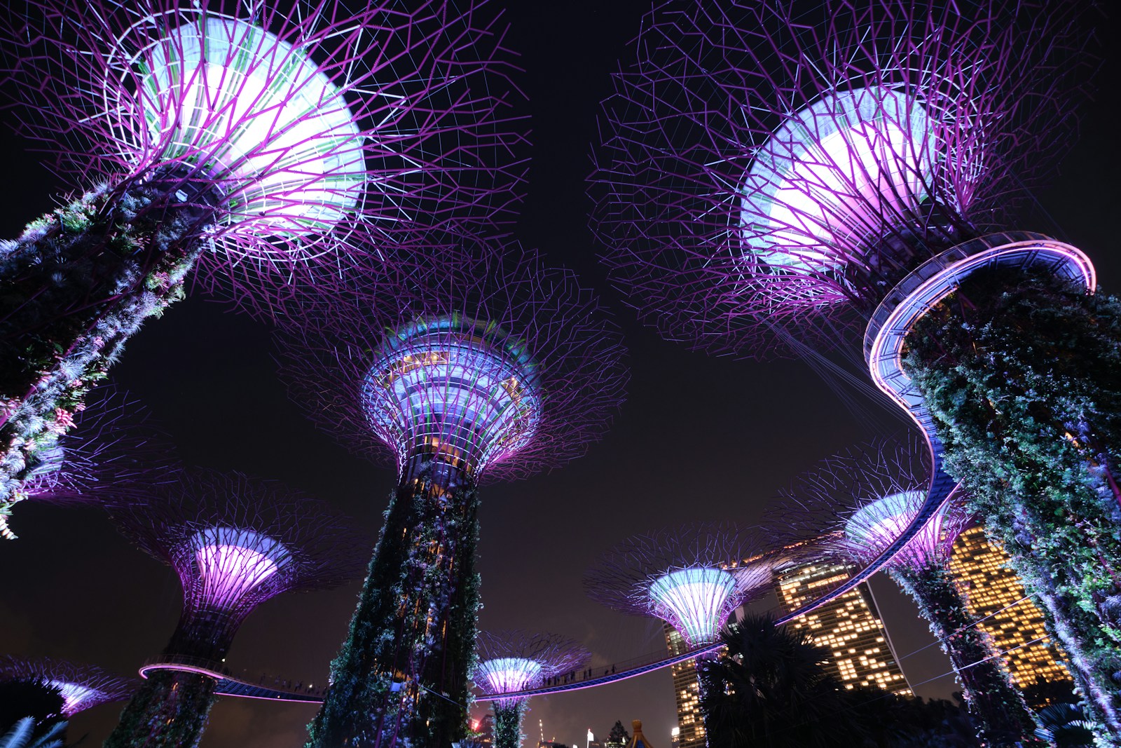 Singapore, All